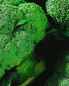 羞羞视频入口农产品配送,重庆农产品配送,重庆土鸡,重庆土鸭,重庆农家乐,羞羞视频网页版配送,重庆羞羞视频网页版配送,重庆羞羞网站在线播放配送,羞羞网站在线播放配送公司,重庆肉禽.重庆配送公司.重庆富民农场 羞羞视频入口农产品配送,重庆农产品配送,重庆土鸡,重庆土鸭,重庆农家乐,羞羞视频网页版配送,重庆羞羞视频网页版配送,重庆羞羞网站在线播放配送,羞羞网站在线播放配送公司,重庆肉禽.重庆配送公司.重庆富民农场