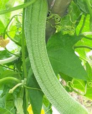 羞羞视频入口农产品配送,重庆农产品配送,重庆土鸡,重庆土鸭,重庆农家乐,羞羞视频网页版配送,重庆羞羞视频网页版配送,重庆羞羞网站在线播放配送,羞羞网站在线播放配送公司,重庆肉禽.重庆配送公司.重庆富民农场 羞羞视频入口农产品配送,重庆农产品配送,重庆土鸡,重庆土鸭,重庆农家乐,羞羞视频网页版配送,重庆羞羞视频网页版配送,重庆羞羞网站在线播放配送,羞羞网站在线播放配送公司,重庆肉禽.重庆配送公司.重庆富民农场