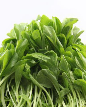 重庆羞羞视频入口农产品配送有限公司_重庆农产品配送