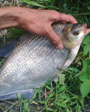 羞羞视频入口农产品配送,重庆农产品配送,重庆土鸡,重庆土鸭,重庆农家乐,羞羞视频网页版配送,重庆羞羞视频网页版配送,重庆羞羞网站在线播放配送,羞羞网站在线播放配送公司,重庆肉禽.重庆配送公司.重庆富民农场 羞羞视频入口农产品配送,重庆农产品配送,重庆土鸡,重庆土鸭,重庆农家乐,羞羞视频网页版配送,重庆羞羞视频网页版配送,重庆羞羞网站在线播放配送,羞羞网站在线播放配送公司,重庆肉禽.重庆配送公司.重庆富民农场