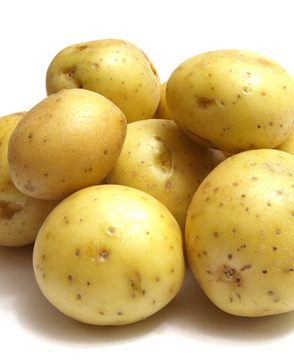 重庆羞羞视频入口农产品配送有限公司_重庆农产品配送