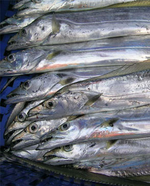 重庆羞羞视频入口农产品配送有限公司_重庆农产品配送