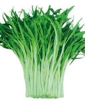 重庆羞羞视频入口农产品配送有限公司_重庆农产品配送